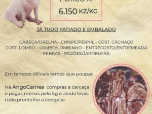 BOX CARCAÇA SUÍNO 30KG