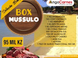 BOX MUSSULO