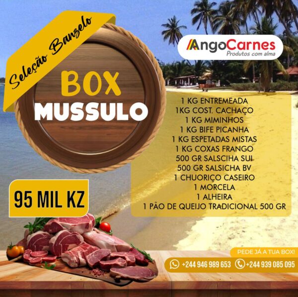 BOX MUSSULO