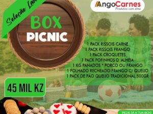 BOX PICNIC